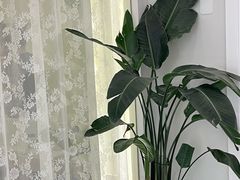 -万达坊(花园路店)