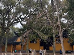 -西园戒幢律寺