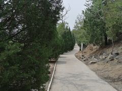 -白水寺森林公园