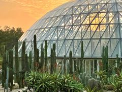 -深圳仙湖植物园