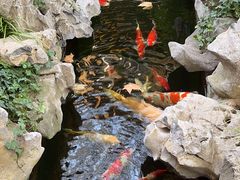 -鲤院·新中式美学·庭院餐厅(夫子庙店)