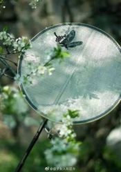 -盘子女人坊古装写真摄影