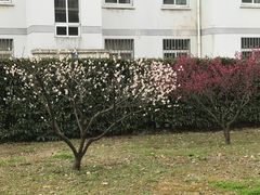-南京信息职业技术学院