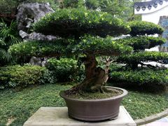 -南山植物园