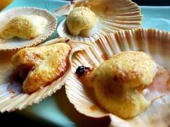 扇贝-襄阳富力皇冠假日酒店-大吉融合餐厅