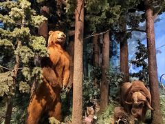 -陕西自然博物馆