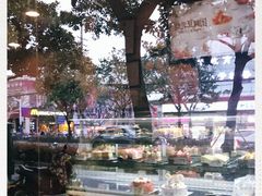 -曲阳花鸟市场(曲阳路店)