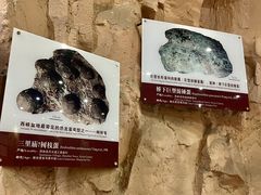 -中国西峡恐龙遗迹园