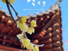 -宝通禅寺
