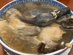 -杨记新泉美食