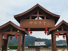 -广州神农草堂中医药博物馆