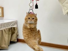 -网易（杭州）网络有限公司