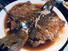 罾蹦鲤鱼-津菜典藏河西店(水上店)
