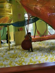 点击看大图 -宝燕乐园(闵行旗舰店)