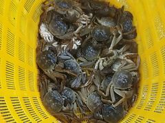 -北京清河镇农副产品交易市场中心