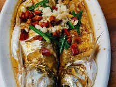 运河白水鱼-印象江南(东栅店)