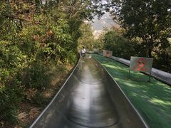 -富斯特索道