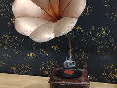 -横店影视城梦幻谷园区