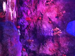 -沈阳海洋探索中心