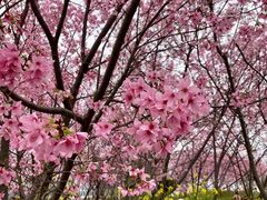 -福建鲤鱼洲酒店