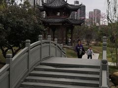 -四海公园(南山区)