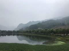-后柳水乡
