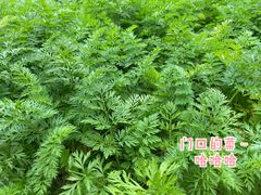 -坛南湾阿强农家乐.海鲜大排档老字号(福州地标美食店)
