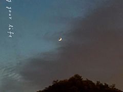 -浦江镇(地铁站)