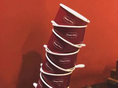 -哈根达斯(武汉天地店)