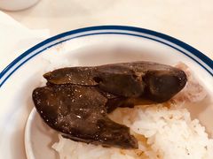 -春梅里卤鹅馆·47年老字号(东厦分店)