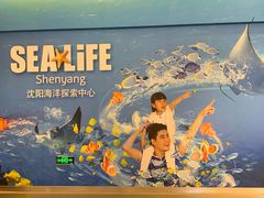 -沈阳海洋探索中心