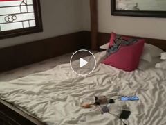 -宝丽金大酒店·洗浴中心