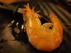 -土蚝·高压锅生蚝(百姓美食街店)