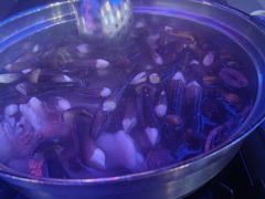 -千岛蚝高压锅生蚝·人参火锅(白云万达店)