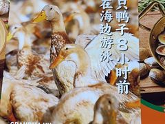 -虎婆冷饮店·海南特色炒冰(三亚湾店)