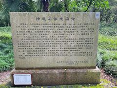 -上海方塔园