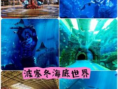 -波塞冬海底世界
