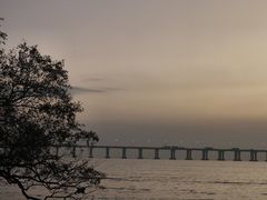 -宝安西湾红树林湿地公园