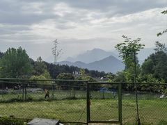 -周肥肠(江油总店)