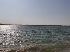 -丁香湖公园