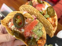 -Famous肥猫墨西哥音乐餐吧(五棵松华熙LIVE店)