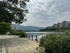 -光明港公园
