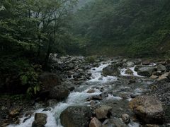 -西岭雪山大飞水景区