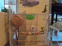 -品茗轩茶楼(江川路店)