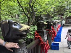 -苍岩山风景名胜区
