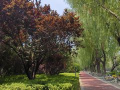 -南长河公园