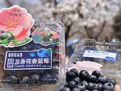 -堤角公园
