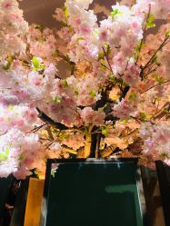 -逸丝风尚