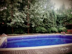 -天鹅湖生态旅游风景区