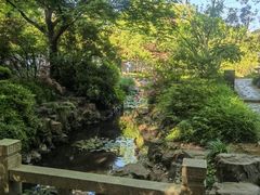 -上海醉白池公园